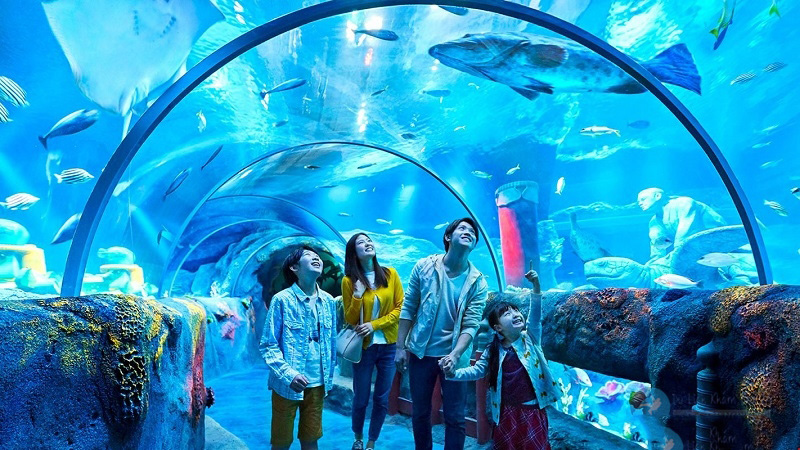 Thủy cung Vinpearl Aquarium Times City, Hà Nội